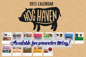 Hog-Haven-2015-Calendar-Ad