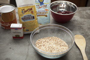 Oatmeal Pumpkin Bars