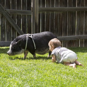 Evelyn and Pumba